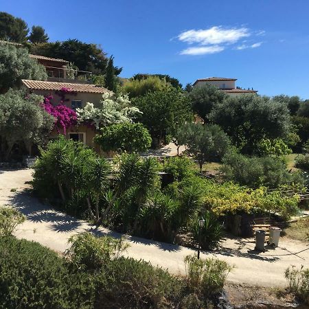 Les Terrasses Sur Mer Ollioules Kültér fotó