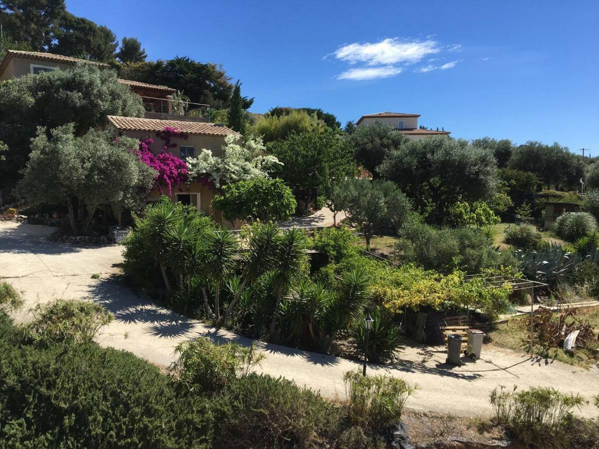 Les Terrasses Sur Mer Ollioules Kültér fotó