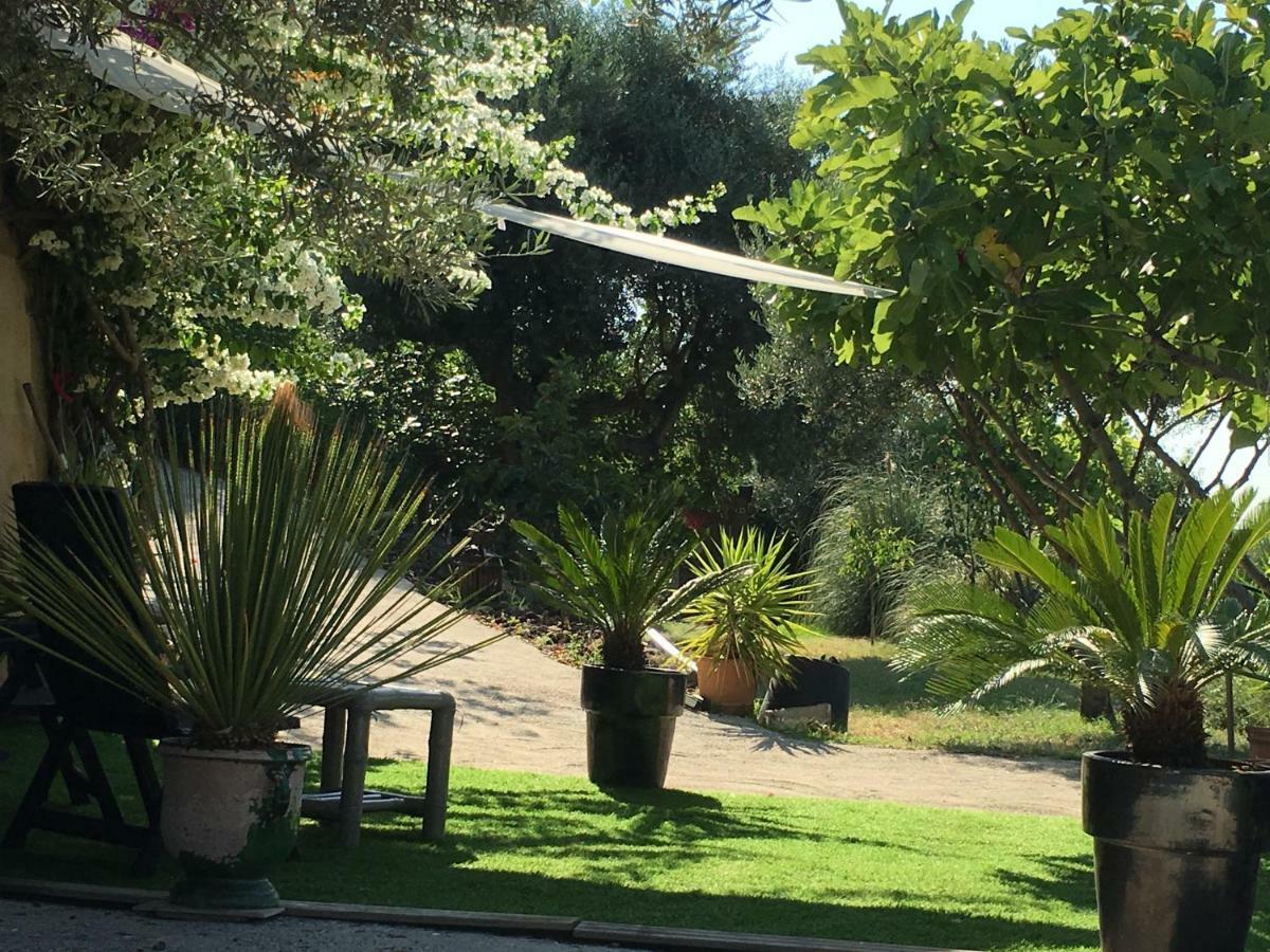 Les Terrasses Sur Mer Ollioules Kültér fotó